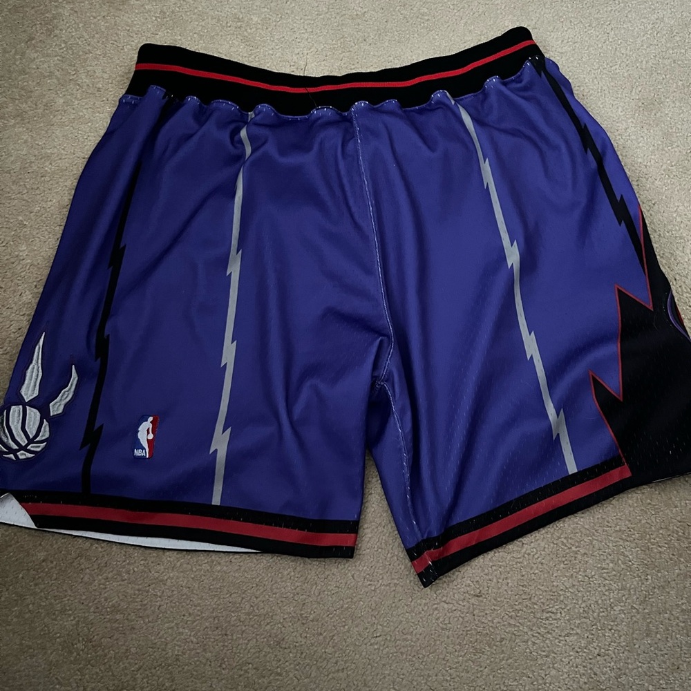 Vintage Toronto Raptors 98-99 Men's Purple NBA Shorts